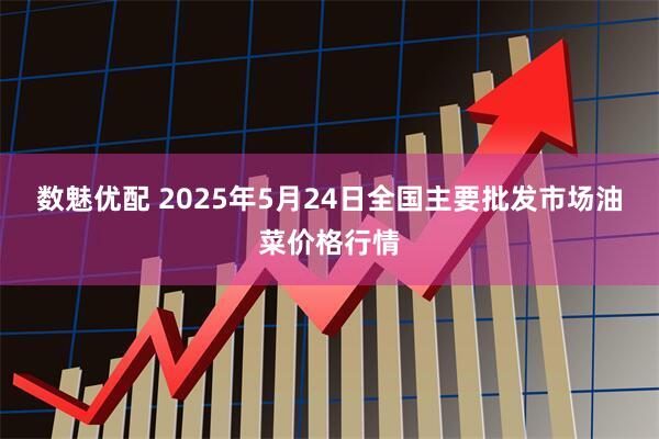 数魅优配 2025年5月24日全国主要批发市场油菜价格行情