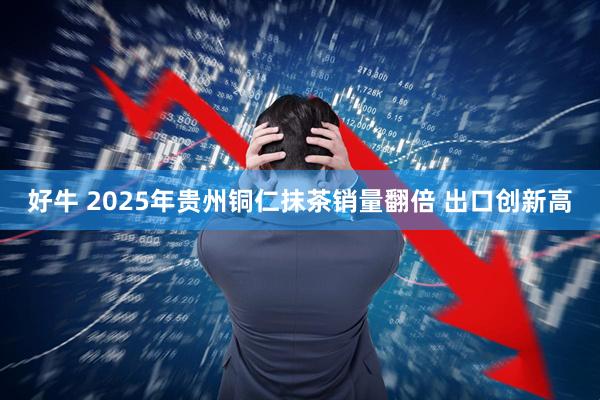 好牛 2025年贵州铜仁抹茶销量翻倍 出口创新高