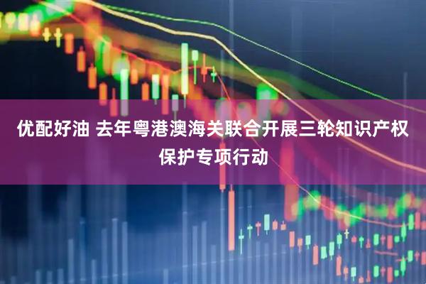 优配好油 去年粤港澳海关联合开展三轮知识产权保护专项行动