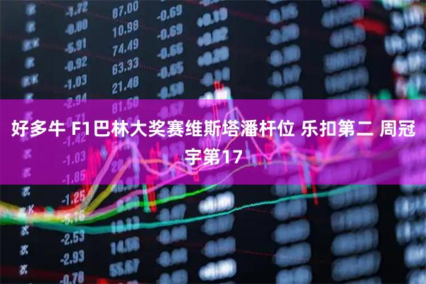好多牛 F1巴林大奖赛维斯塔潘杆位 乐扣第二 周冠宇第17
